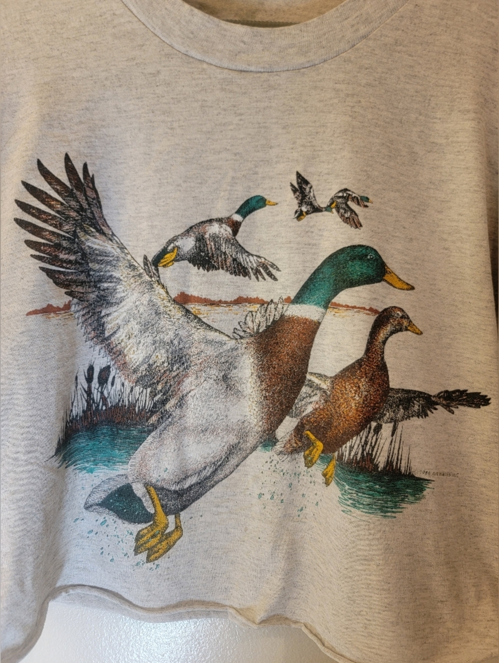 Vintage Cropped Mallard T-shirt - Medium - Picture 2 of 4